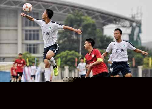 帕利尼亚：我在热刺很开心；对阵枪手压力可能更多在他们那边（帕利尼亚：在热刺很快乐，面对阿森纳压力可能更多落在他们身上）